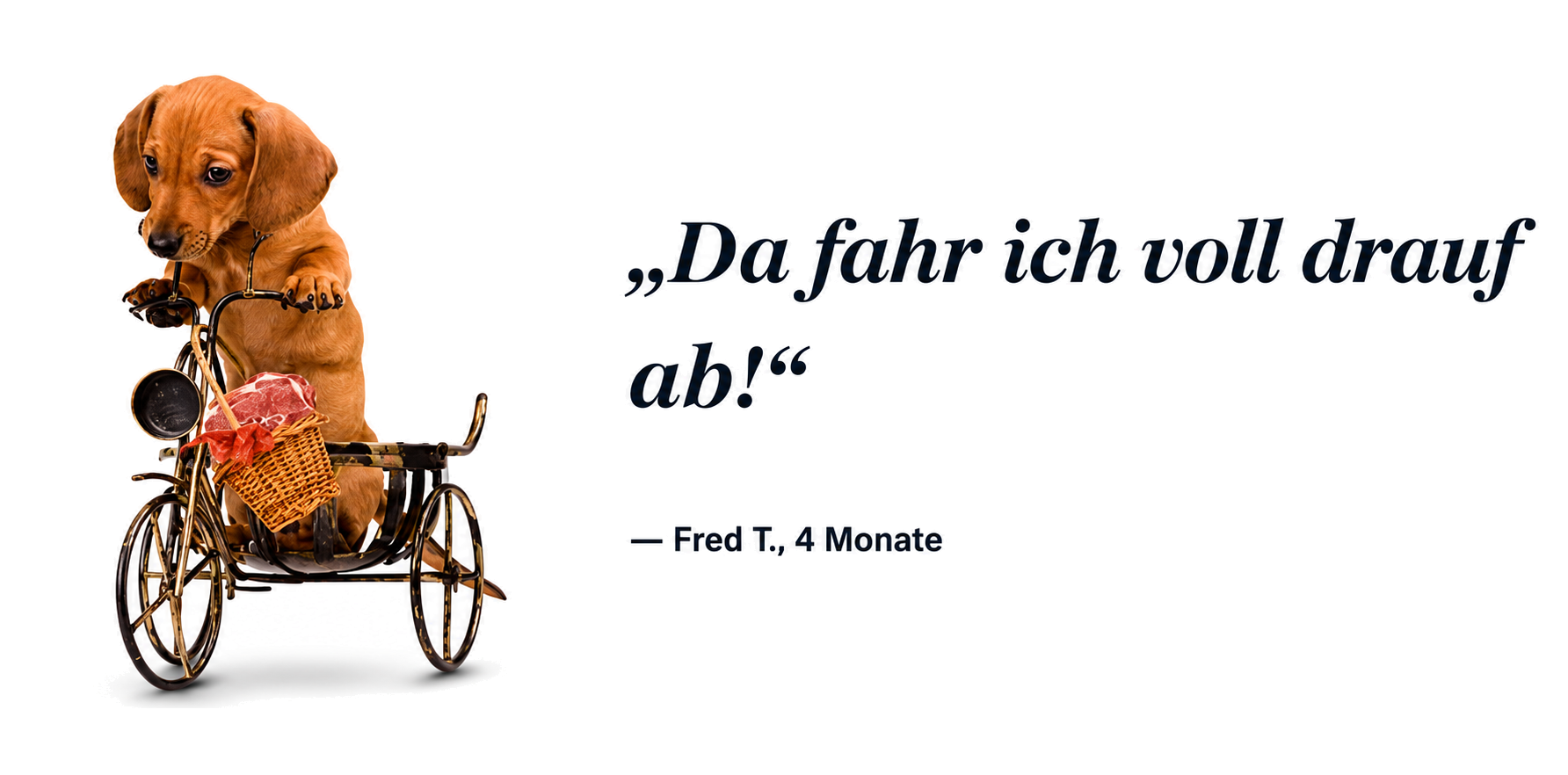 Fred T., 4 Monate, Da fahr ich voll drauf ab!
